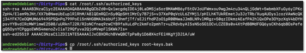 Reading and backing up root’s authorized keys