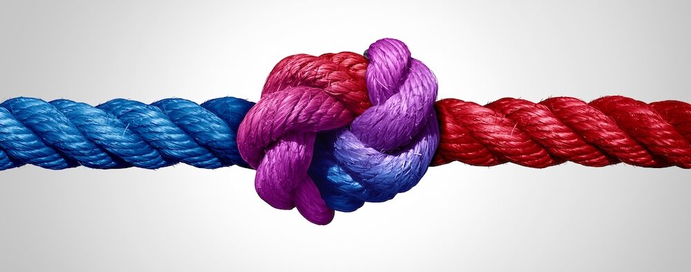 Red Team Blue Team Purple Team